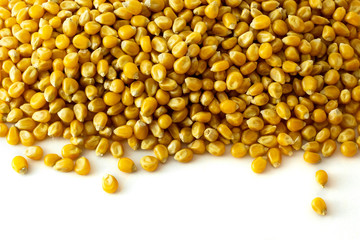 a group of dried corn kernels on white background