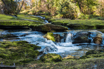 Fototapeta na wymiar beautiful waterfall inside forest with big rocks covered with green mosses and forest in the background with beautiful autumn colour