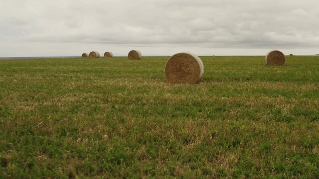 Agriculture, Farms, aerial view of rolls of hay in the field, drone shooting of lands, travel around USA
