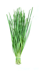 Obraz premium garlic chive on white.