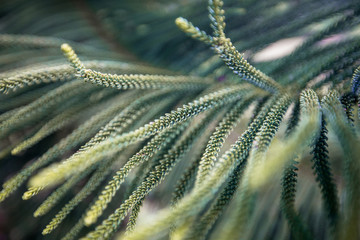 The blurry background of colorful leaves, the beauty of nature, the bokeh from the sunlight falling and the wind blowing through.