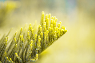 The blurry background of colorful leaves, the beauty of nature, the bokeh from the sunlight falling and the wind blowing through.