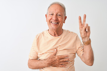 Senior grey-haired man wearing striped t-shirt standing over isolated white background smiling...