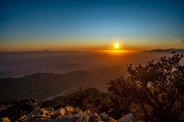 Sunset over San Bernardino mountains and pine tree tops in California