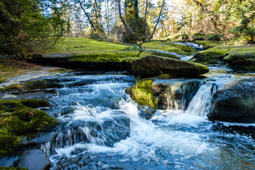 cascading waterfall run through the green moss covered big rocks inside forest in the park surrounded by autumn foliage