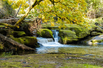 cascading waterfall run through the green moss covered big rocks inside forest in the park surrounded by autumn foliage