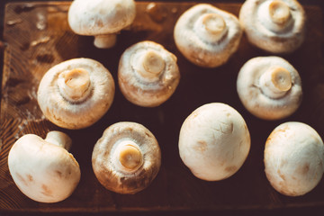Several champignons on a wooden cutting board close-up top view