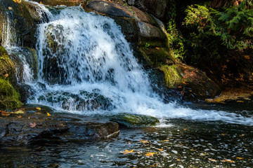 small waterfall in the park in the shade with colourful fallen leaves floating on the surface 