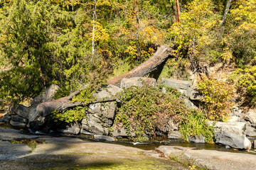 rocky creek flow pass the park on a sunny day with one side filled with trees with beautiful autumn colour