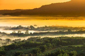 Natural blurred background of fog scattered among trees in the morning, with soft sunlight from the sun, seasonal beauty.