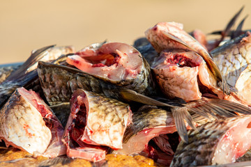 On the table, clean the fish from the scales and remove the entrails. Peeling and fillet of fresh fish that use a knife to clean the fish. Seafood cooking.