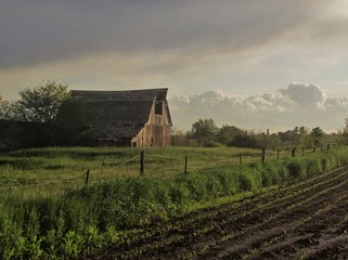 old barn in field © Michelle