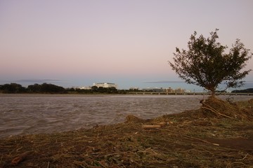 Fototapeta na wymiar 台風通過後の増水した多摩川