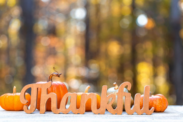 Thankful message in wooden letters Thanksgiving theme on a fall forest background