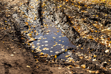 Fototapeta na wymiar Dirty autumn road, clay puddles, yellow fox.