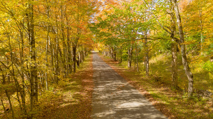 Desolate country road has leaves falling in autumn season New York