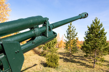 Gun barrel against the sky, nature. War concept.