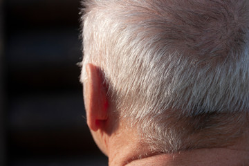 The back of the white-haired man's head