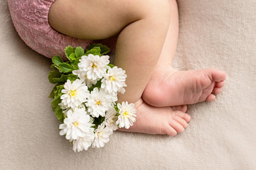 feet of the newborn baby with flower, fingers on the foot, maternal care, love and family hugs, tenderness 