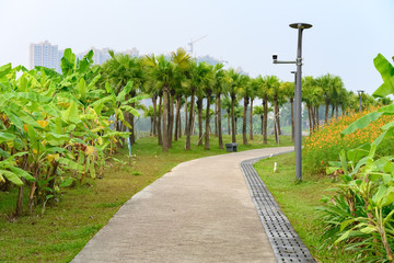 curved outdoor pathway in a park;