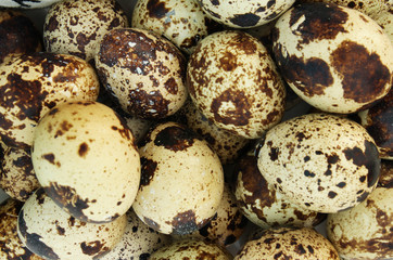 Obraz premium Quail eggs background