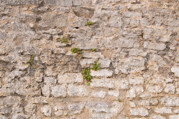 Background texture of the old fortress stone wall. Conceptual background for designers.