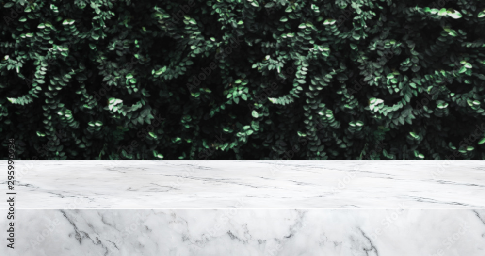 Poster marble texture table and green leaf wall product display background.3d perspective studio photograph