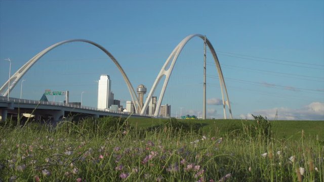 Low Angle - The Dallas Skyline is Framed by the Margaret McDermott Bridge with the Iconic Reunion Tower in the center. Slow moving traffic drives over the bridge on a beautiful day.