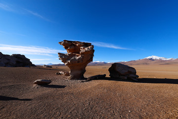 Fototapeta na wymiar Arbol de Piedra (rock or stone tree) in the Siloli Desert. Snow-capped volcanoes and desert landscapes in the highlands of Bolivia. Andean landscapes of the Bolivia Plateau