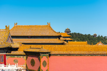 Red wall and golden tiles rooftops of The Forbidden City,the former Chinese imperial palace from...