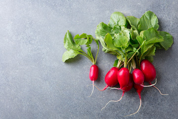 Radish bunch on grey stone background. Copy space. Top view.