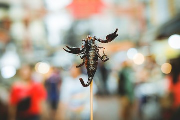 Fried scorpion on skewers at Yaowarat Road at Chinatown in Bangkok, Thailand. Street food in famous.