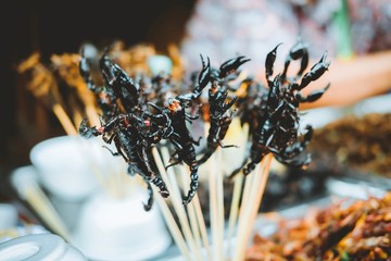 Many fried scorpion on skewers at Yaowarat Road at Chinatown in Bangkok, Thailand. Street food in...