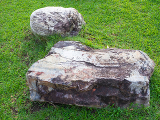 stone on green grass in the garden