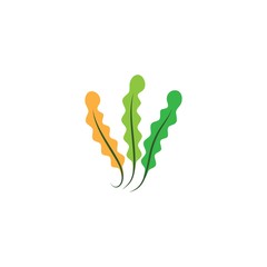 Fototapeta premium Seaweed logo template vector icon