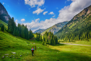 Idyllic summer landscape with hiker in the mountains with beautiful fresh green mountain pastures and forest.