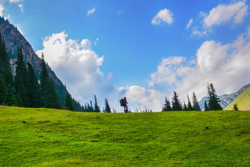 Idyllic summer landscape with hiker in the mountains with beautiful fresh green mountain pastures...