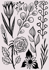 Flowers set vector illustration of contours hand drawing floral elements