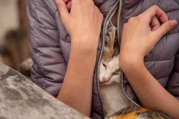 Obraz premium The kitten sits in the bosom of the girl