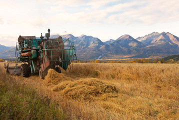 Harvesting oats with a combine in the Siberian foothills of the Tunka Valley against the backdrop of the East Sayan Mountains at sunset. Autumn rural landscape