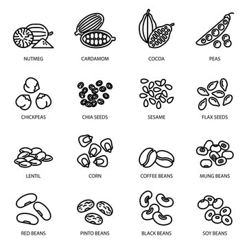 Nuts, beans and seeds line icon set with white background. food symbols collection.