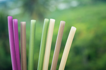 The recycle straw. the Straw made from the rice.