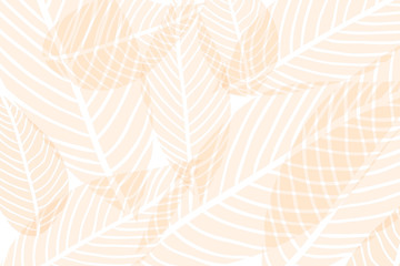 Vector composition of orange alpha transparent stylized leaves on a white background