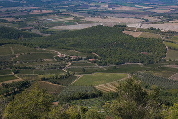 Fototapeta na wymiar Veduta panoramica della campagna toscana da Montalcino