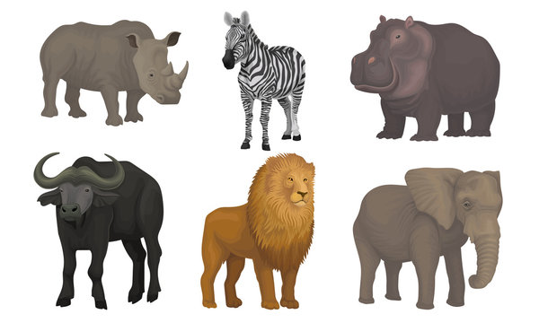 African Area Habitants Drawn In Realistic Manner Vector Illustrations