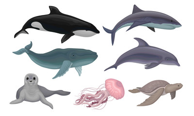 Marine Life Creatures Vector Volume Illustration Set © Happypictures