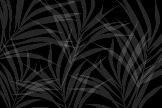 Vector composition of grey alpha transparent stylized leaves on a black background