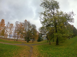 Fototapeta premium autumn in the park