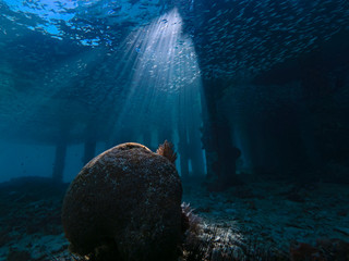  Light incident at the jetty, Lichteinfall am Pier