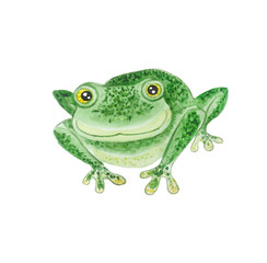 Green frog  isolated on a white background.